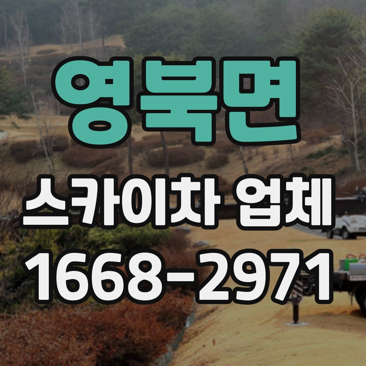 영북면 스카이차 업체