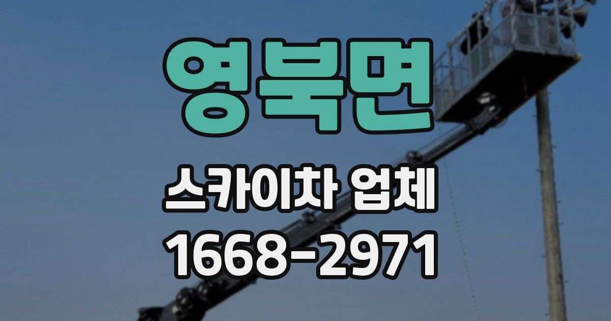 영북면 스카이차 업체