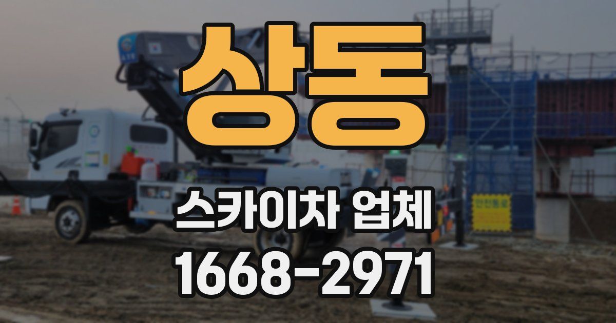 상동 스카이차 업체