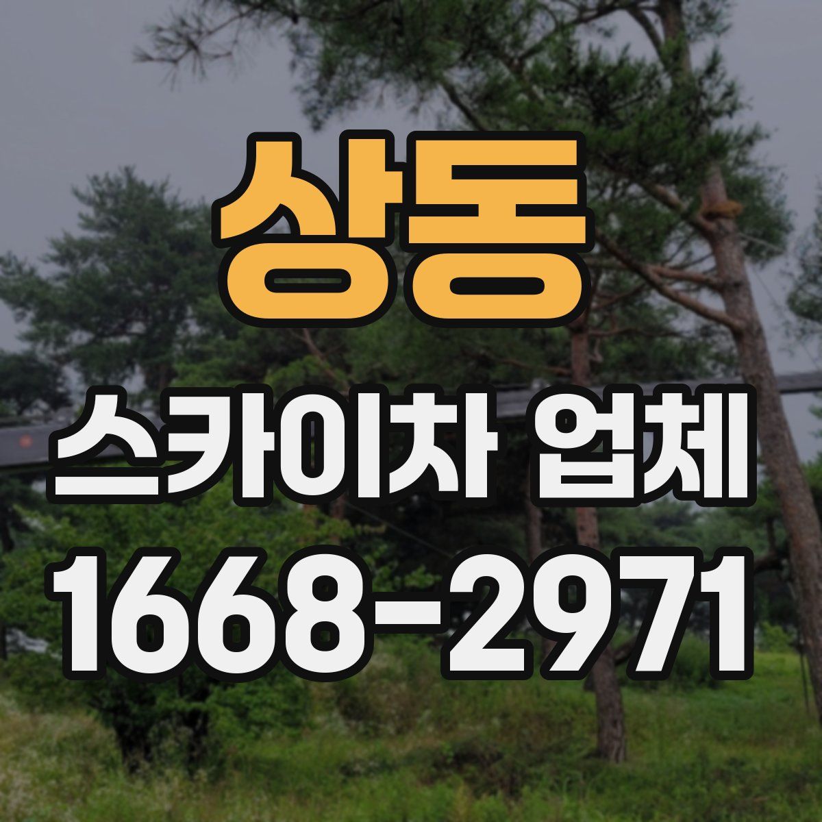 상동 스카이차 업체