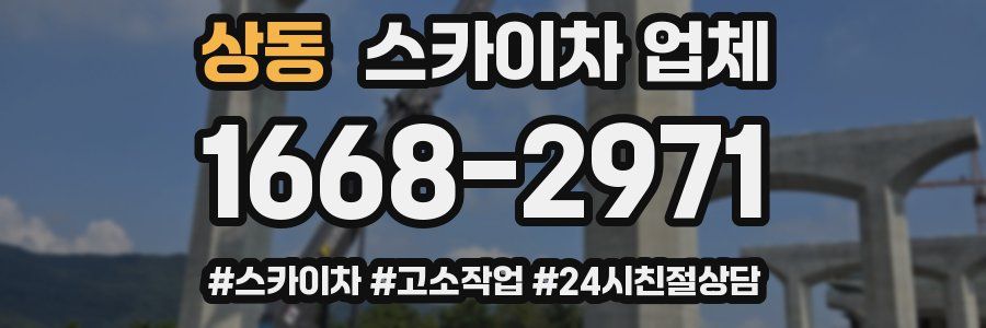 상동 스카이차 업체
