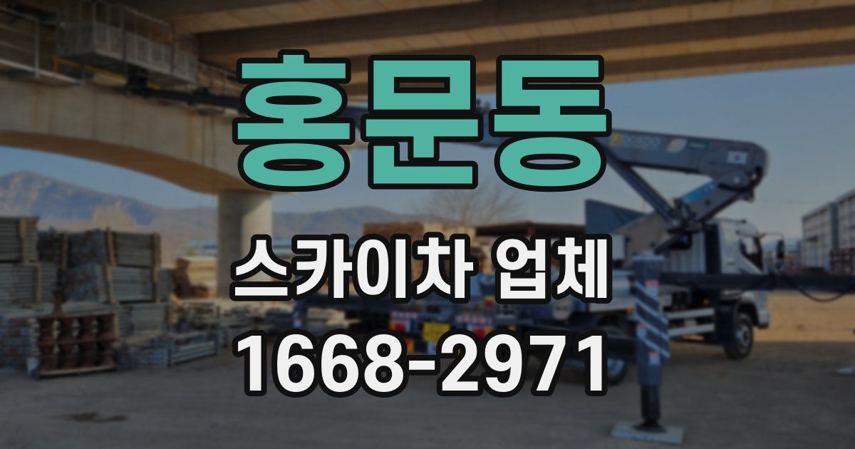홍문동 스카이차 업체