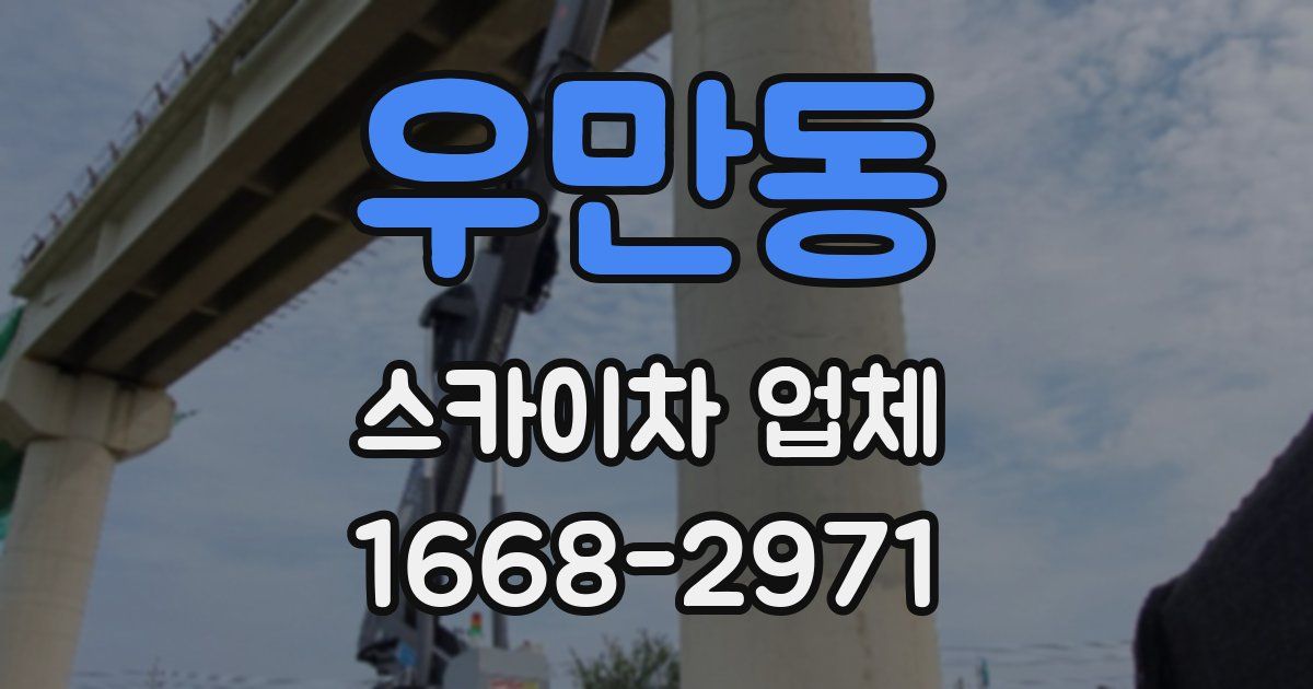 우만동 스카이차 업체