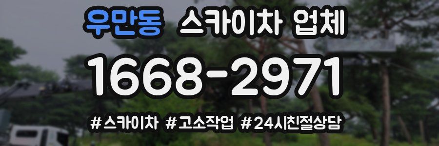 우만동 스카이차 업체