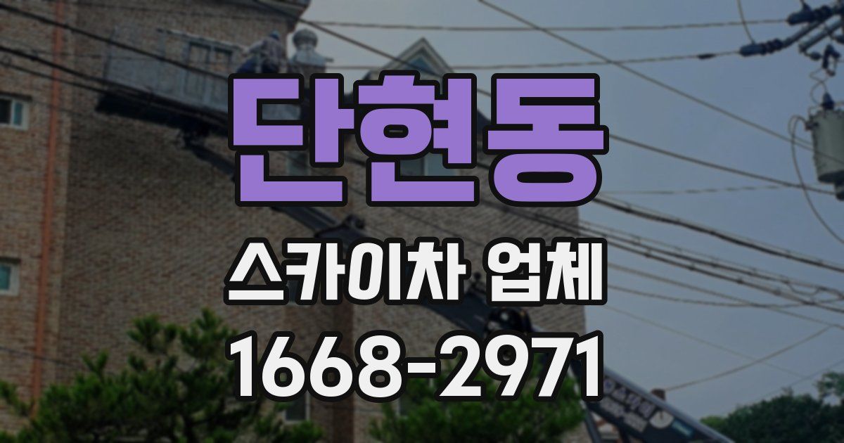 단현동 스카이차 업체
