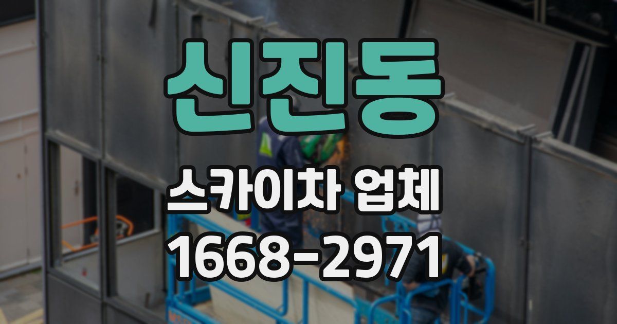 신진동 스카이차 업체