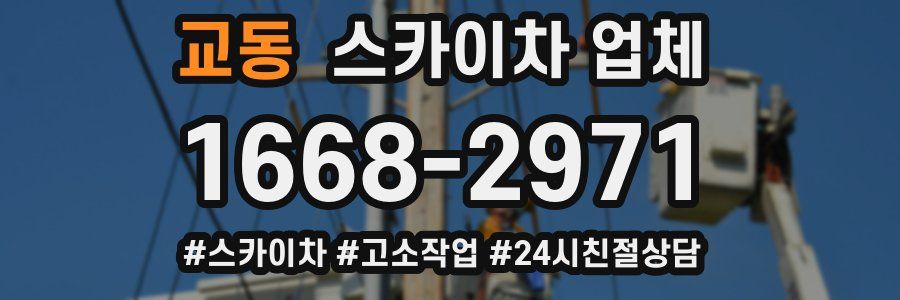 교동 스카이차 업체