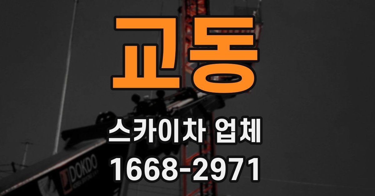교동 스카이차 업체