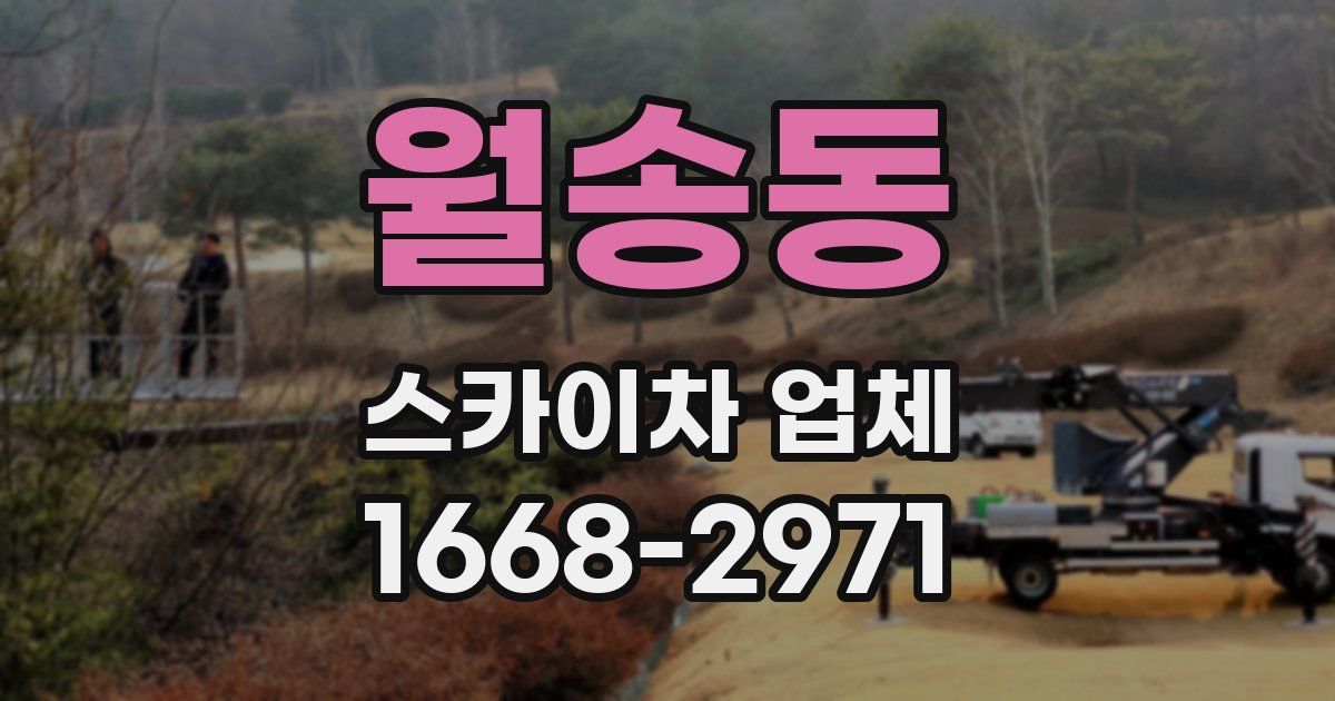 월송동 스카이차 업체