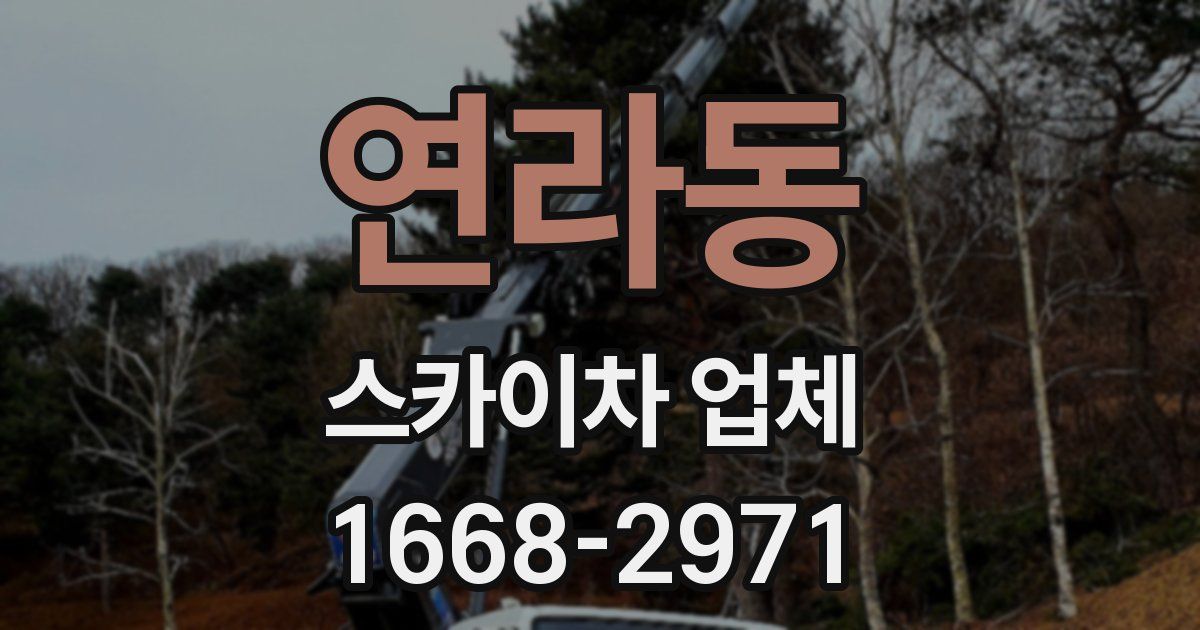 연라동 스카이차 업체