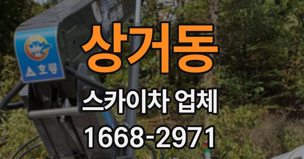 상거동 스카이차 업체