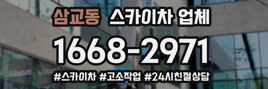 삼교동 스카이차 업체