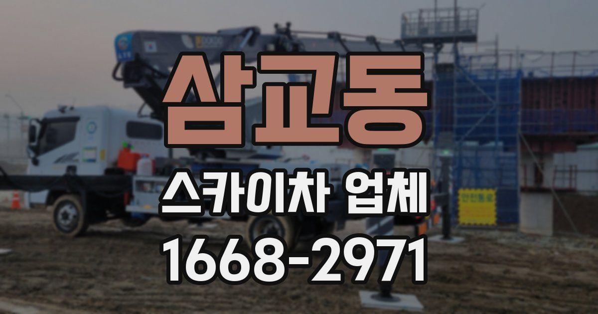 삼교동 스카이차 업체