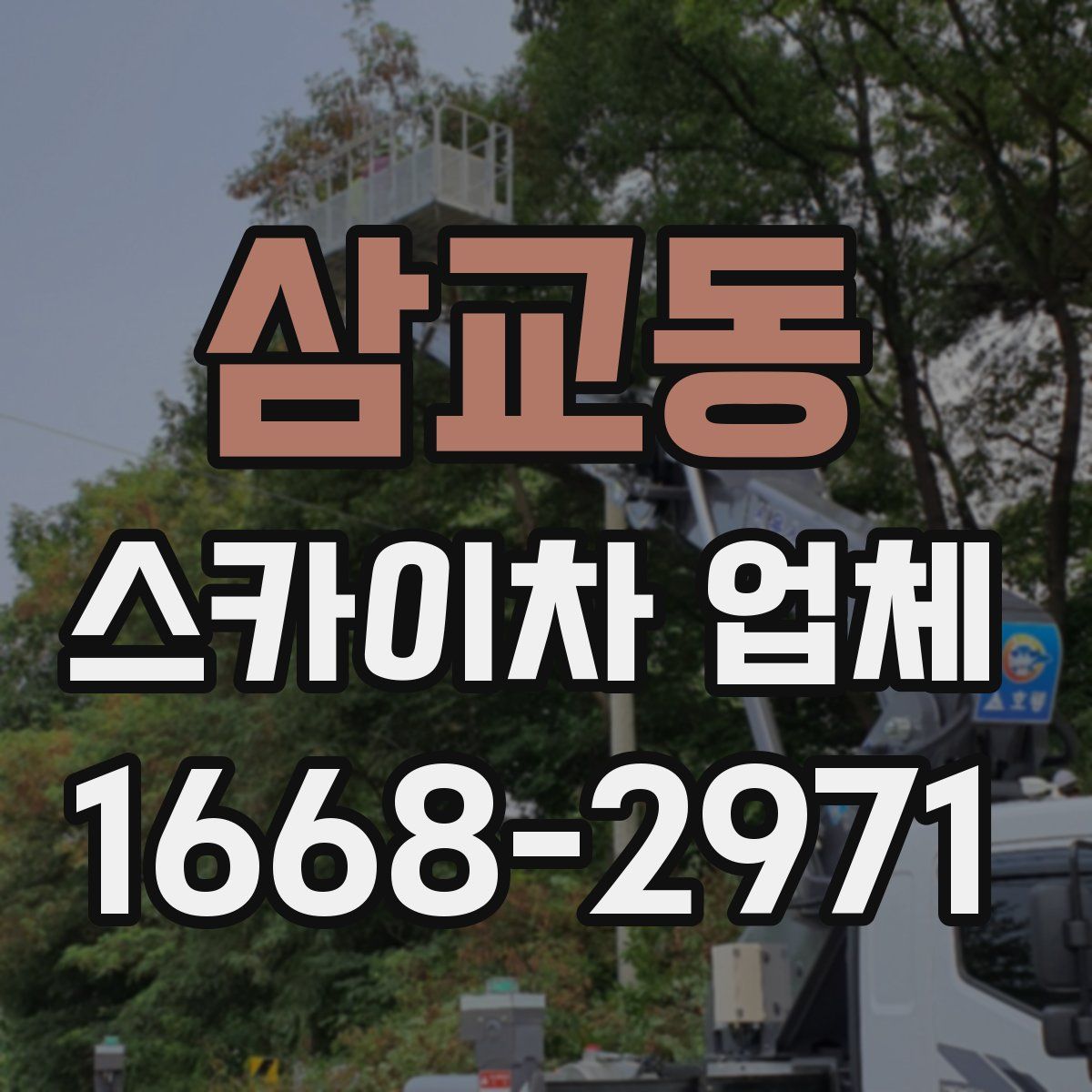 삼교동 스카이차 업체