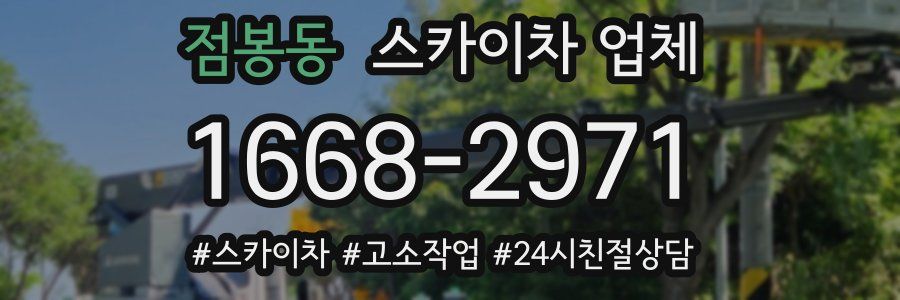 점봉동 스카이차 업체