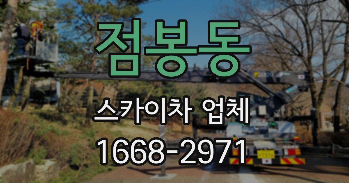 점봉동 스카이차 업체