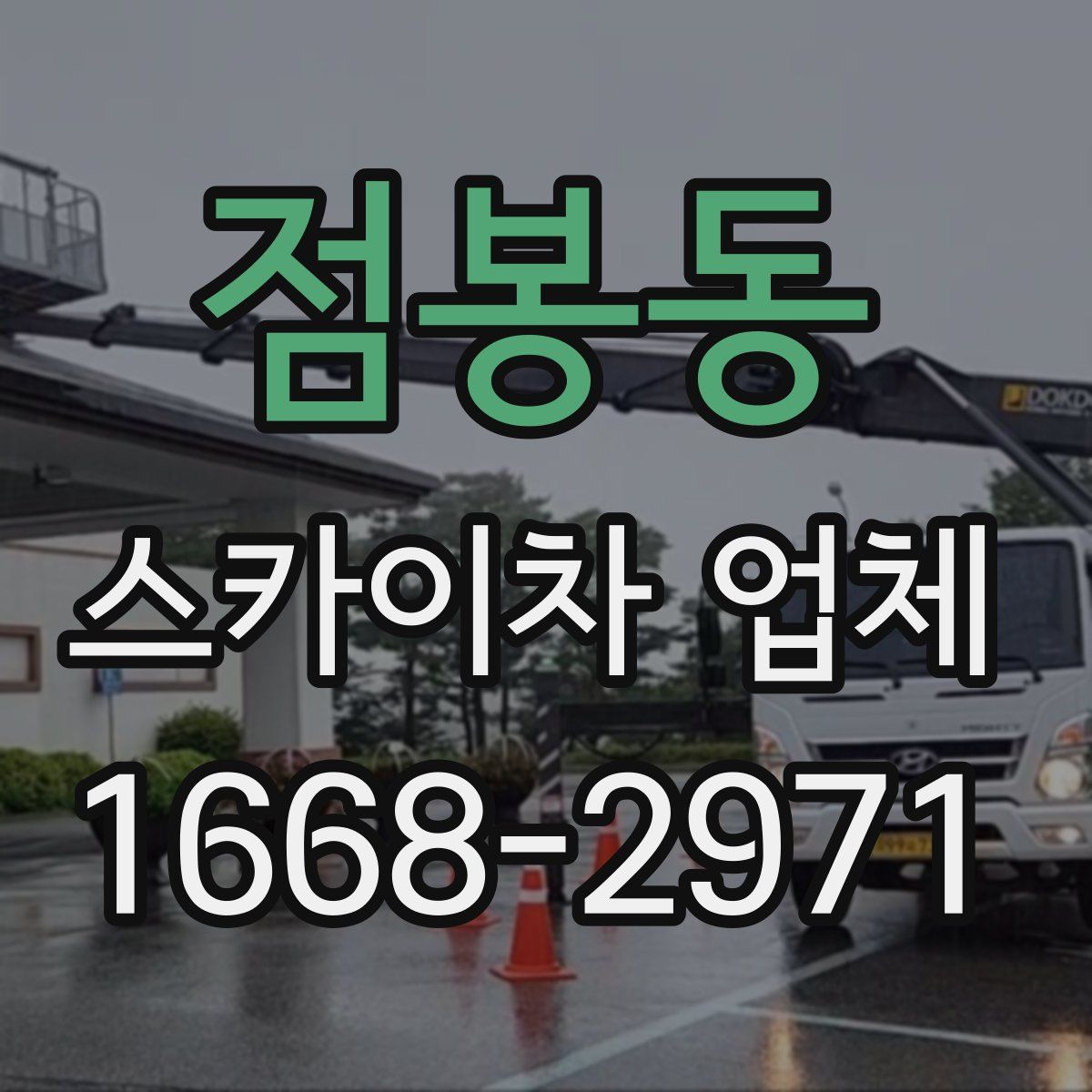 점봉동 스카이차 업체