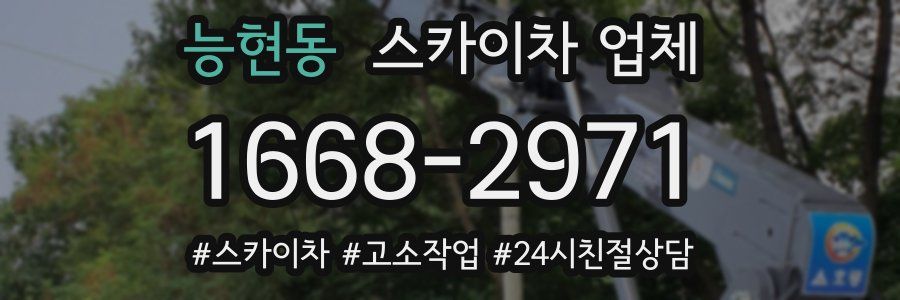 능현동 스카이차 업체