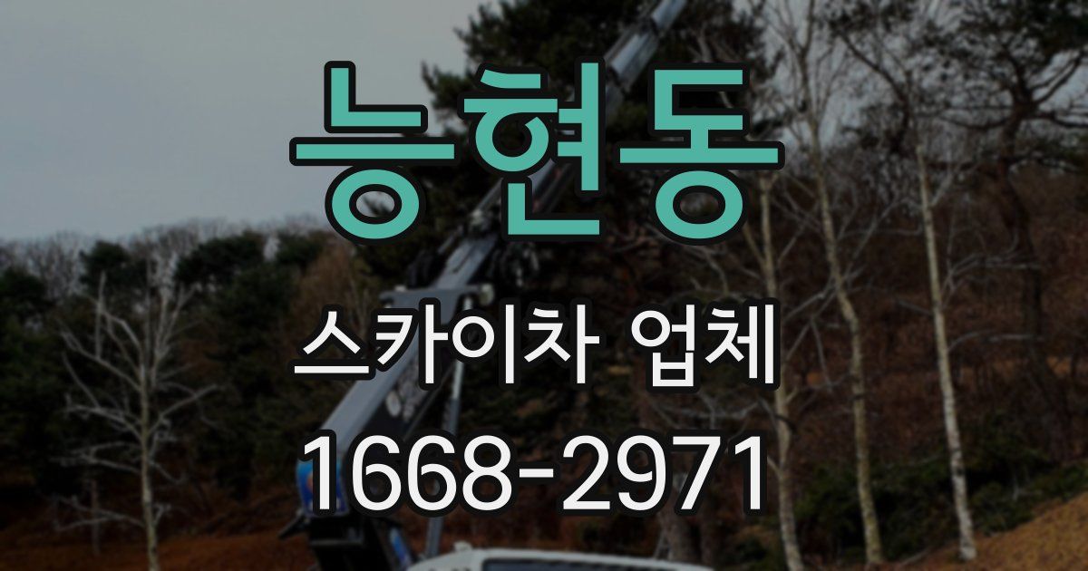 능현동 스카이차 업체