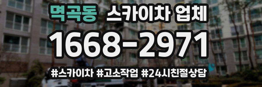 멱곡동 스카이차 업체