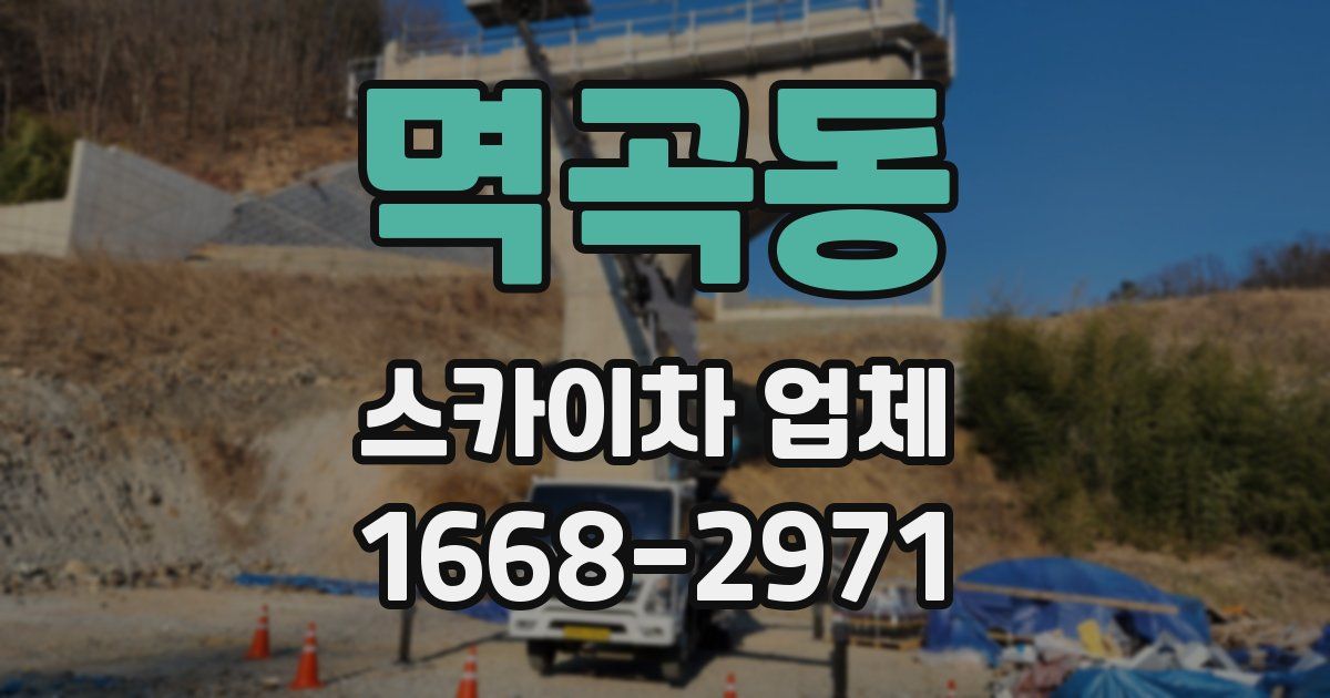멱곡동 스카이차 업체