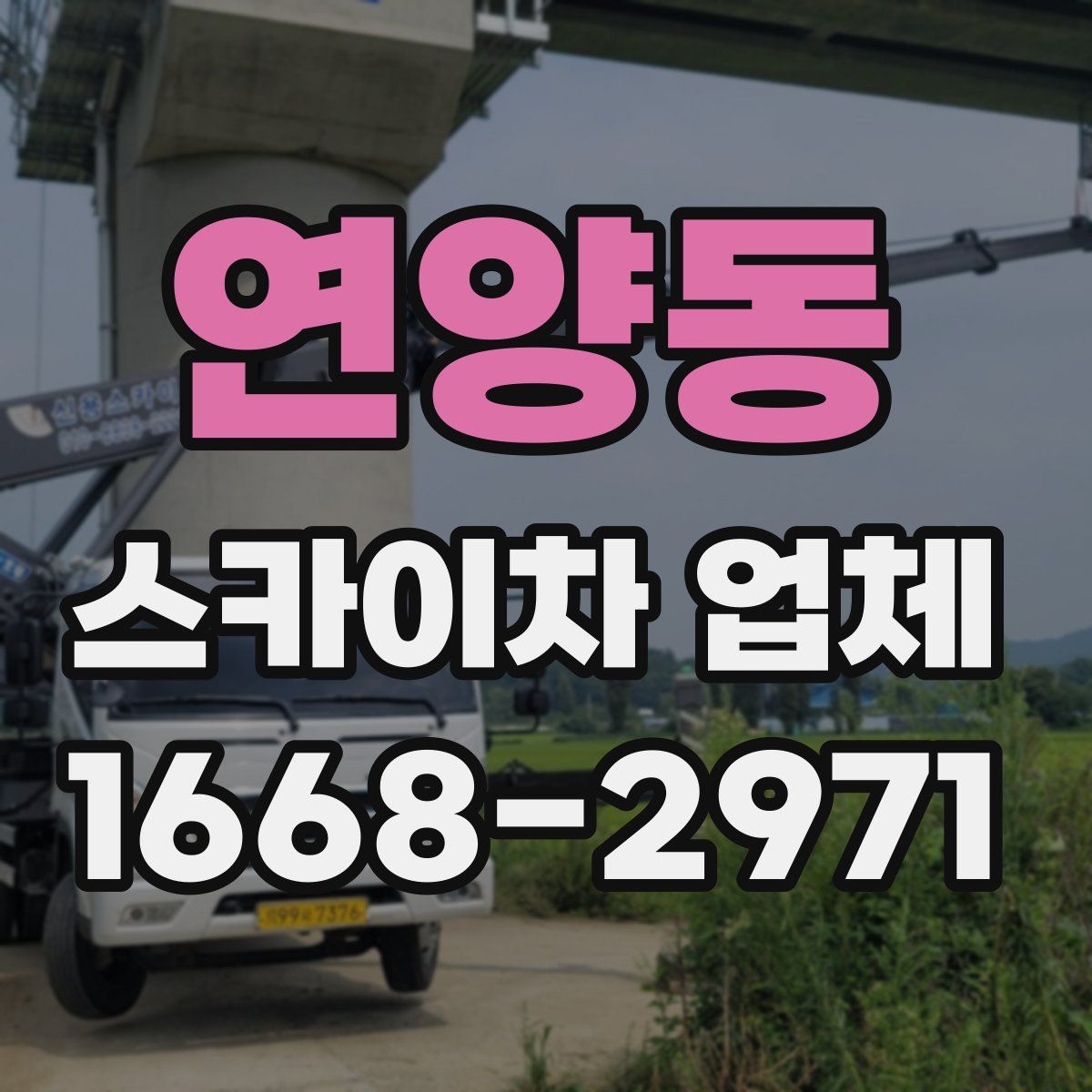 연양동 스카이차 업체