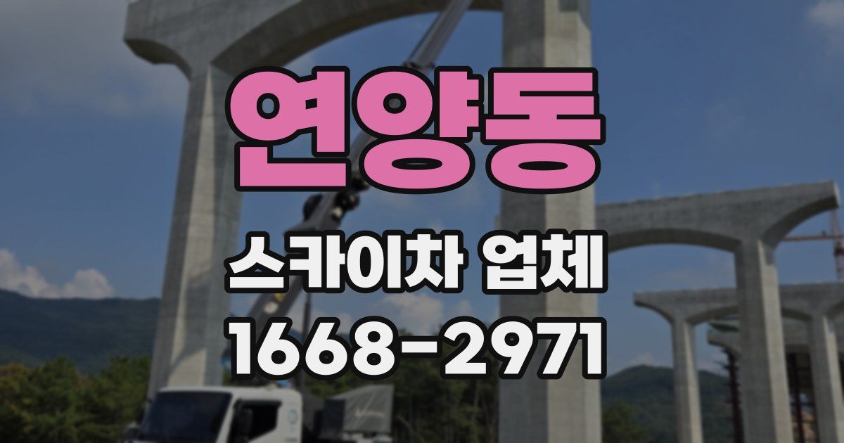 연양동 스카이차 업체