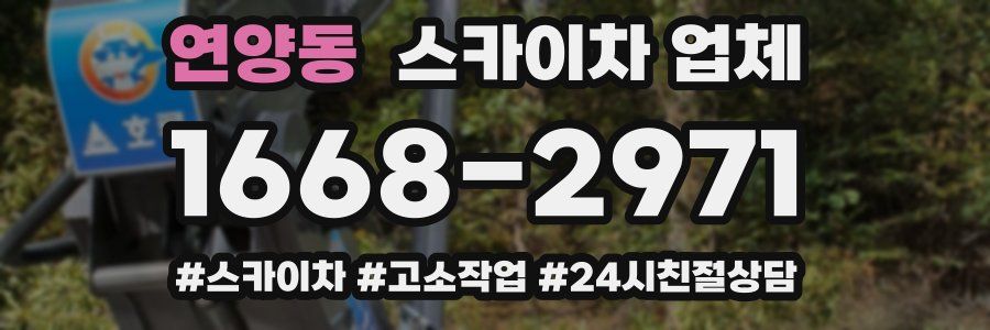 연양동 스카이차 업체