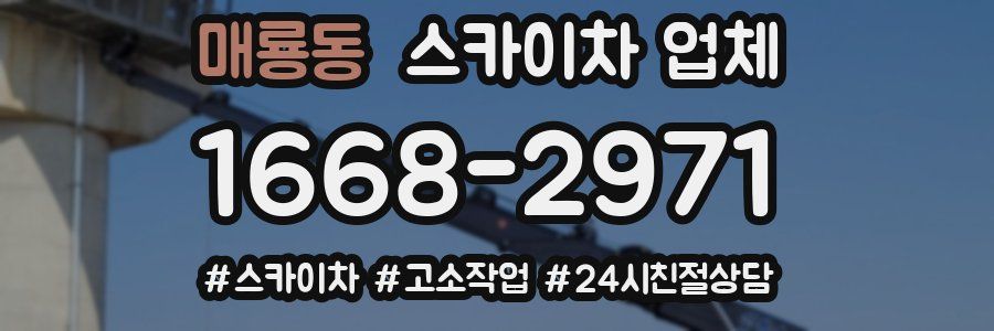 매룡동 스카이차 업체