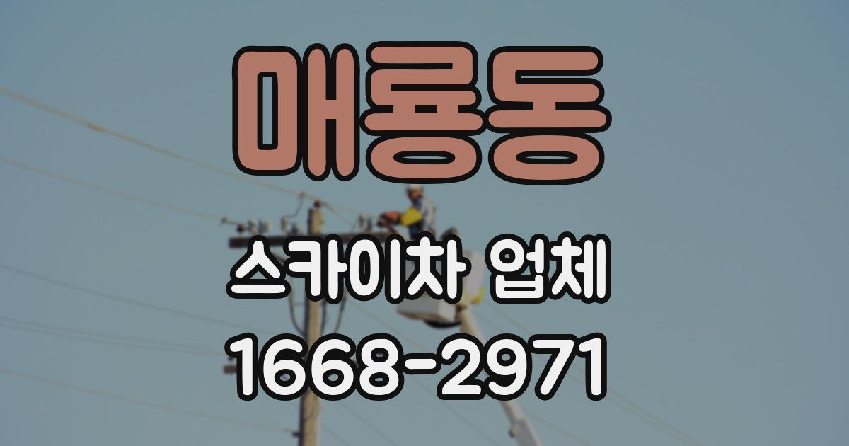 매룡동 스카이차 업체