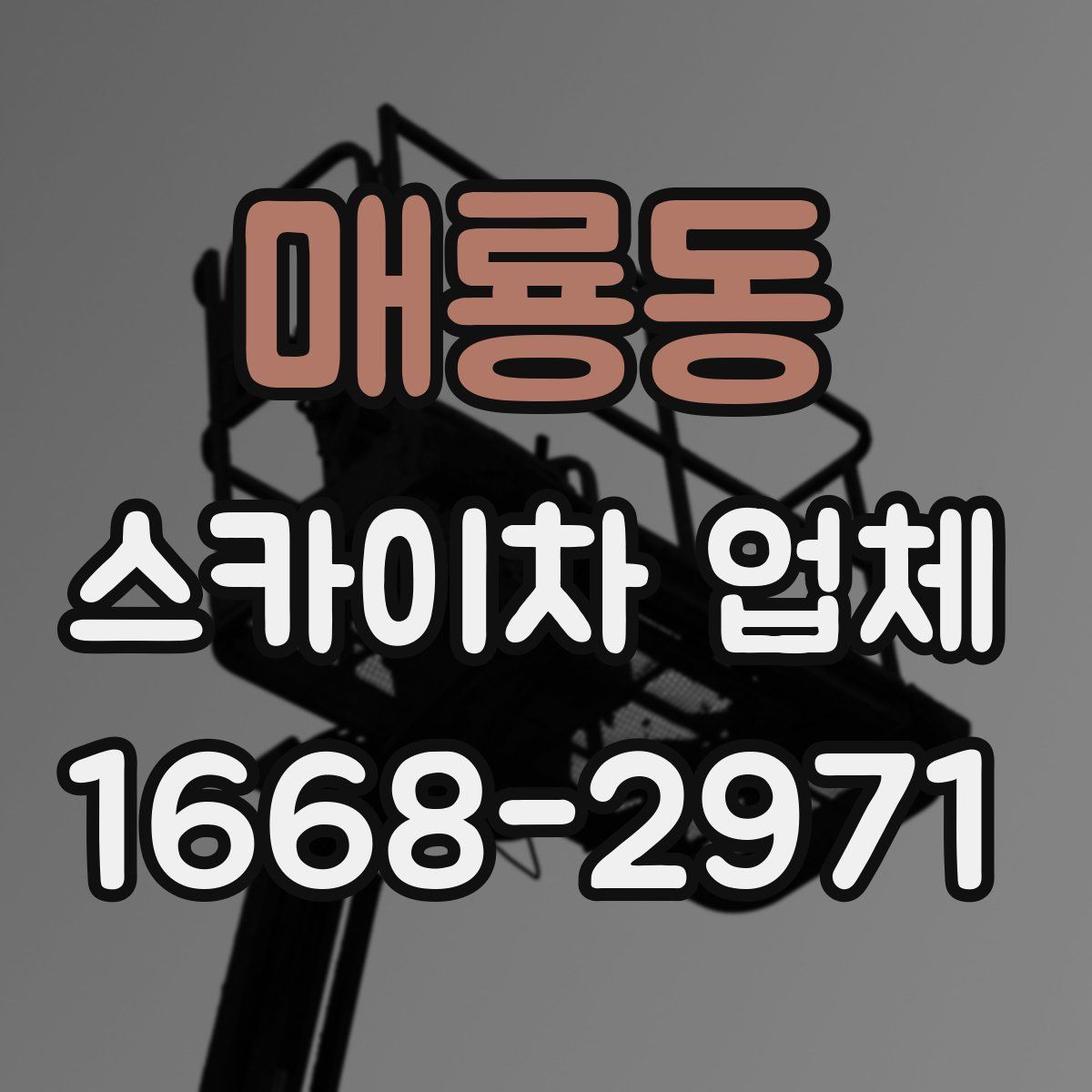 매룡동 스카이차 업체