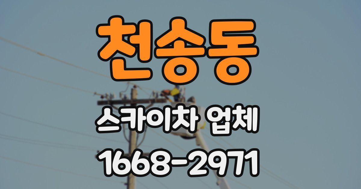 천송동 스카이차 업체