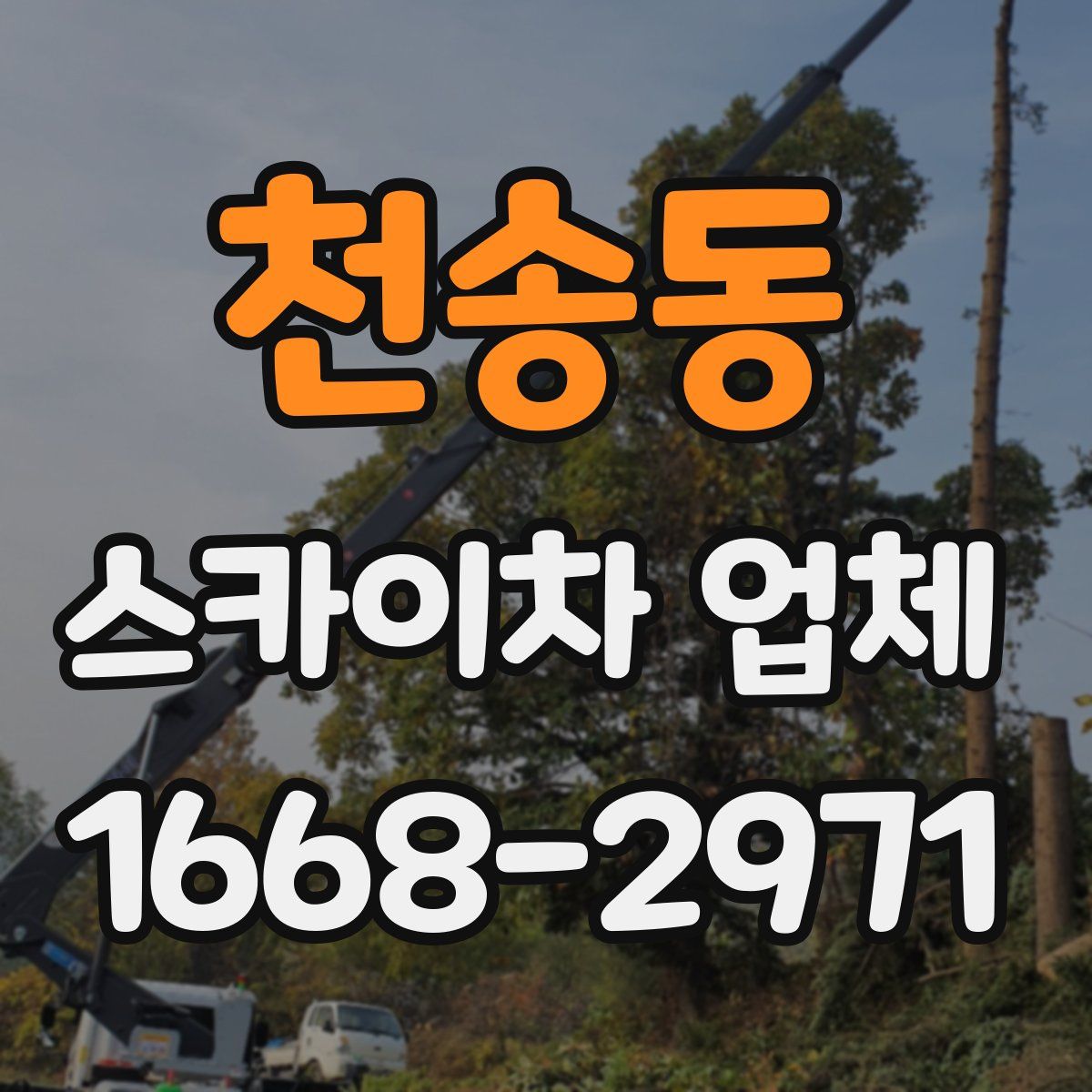 천송동 스카이차 업체