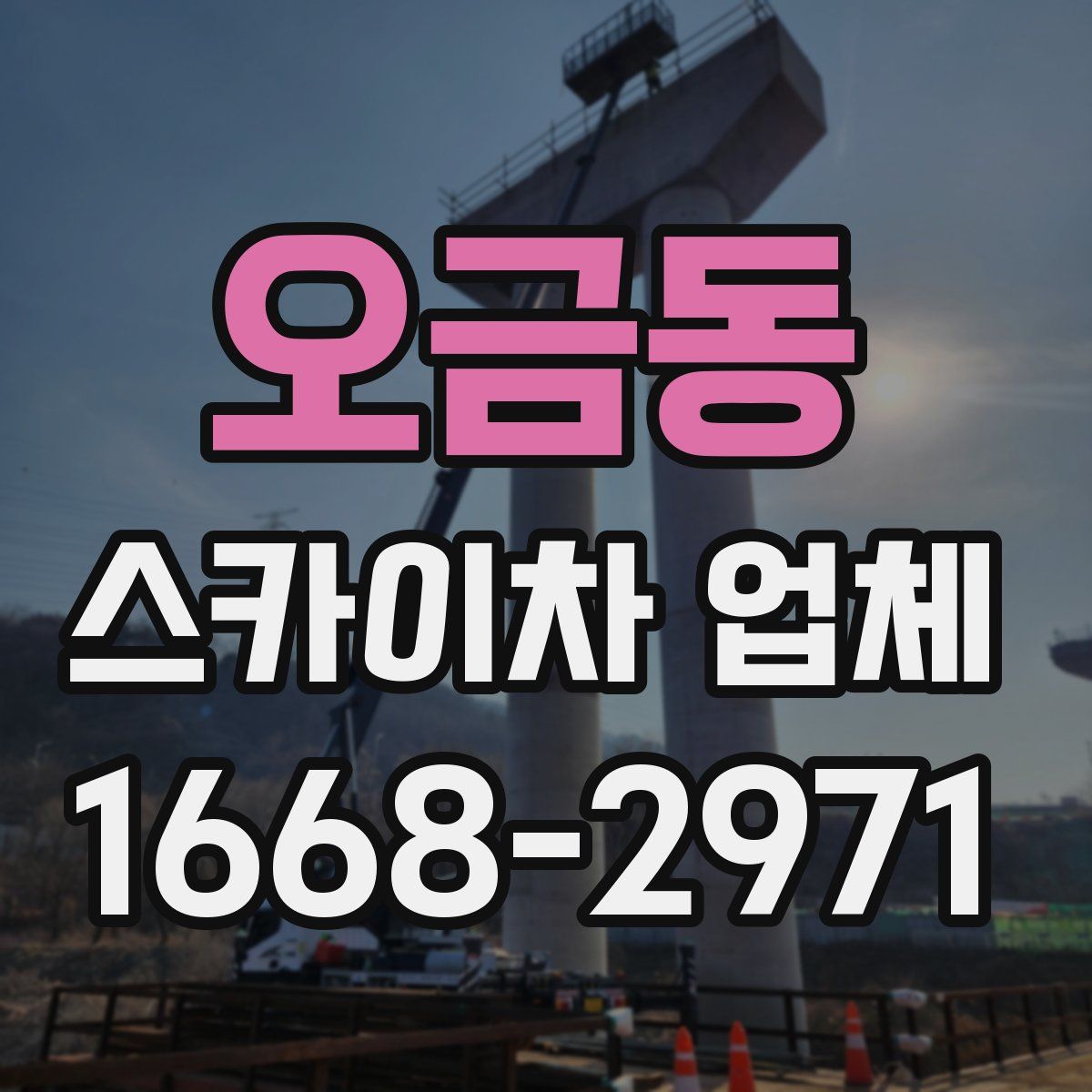 오금동 스카이차 업체