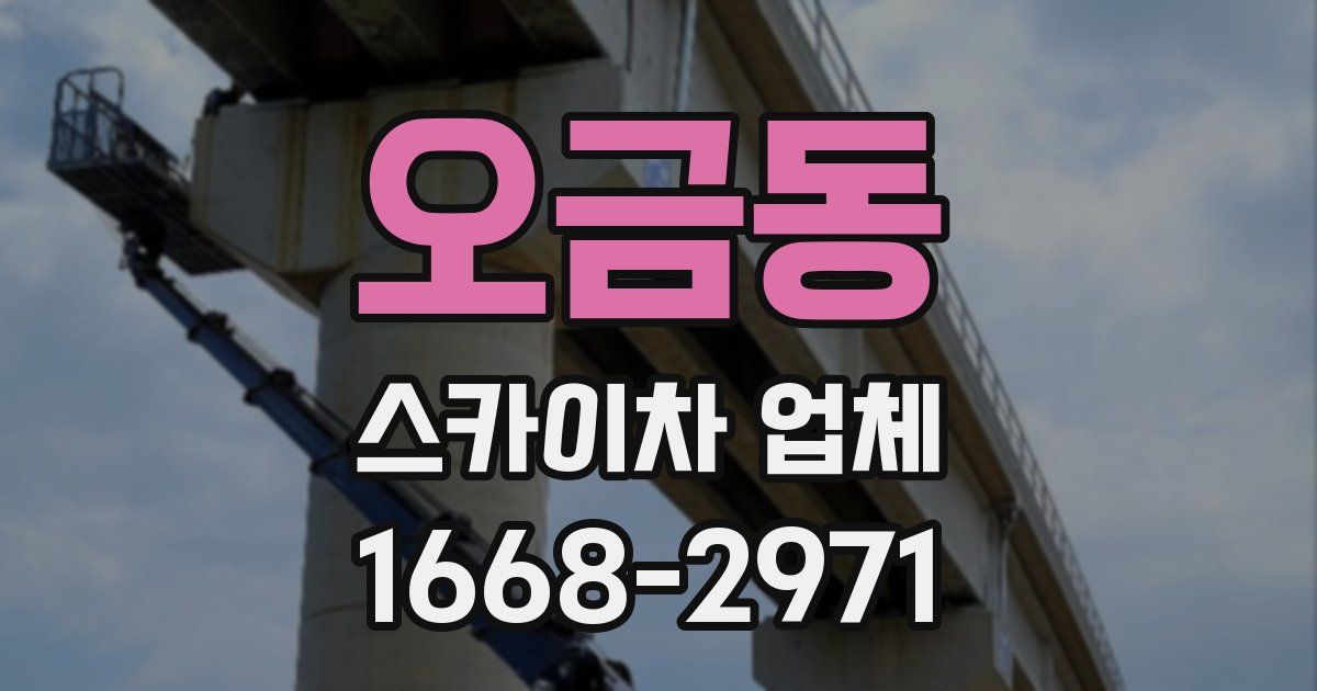 오금동 스카이차 업체