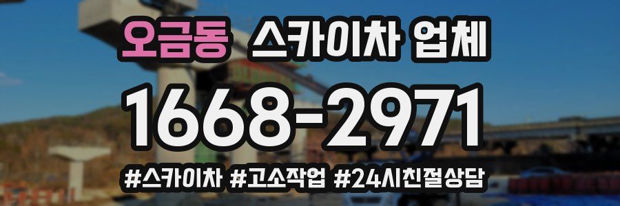 오금동 스카이차 업체