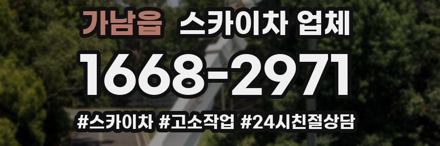 가남읍 스카이차 업체