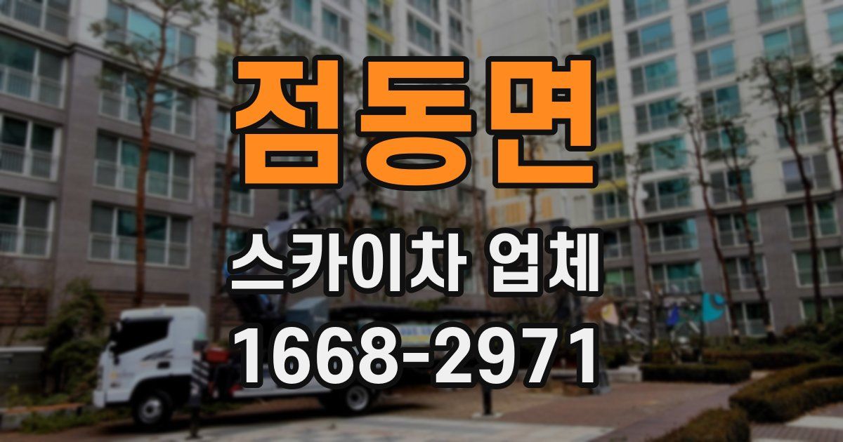 점동면 스카이차 업체