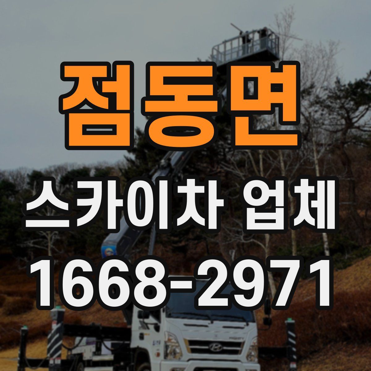 점동면 스카이차 업체