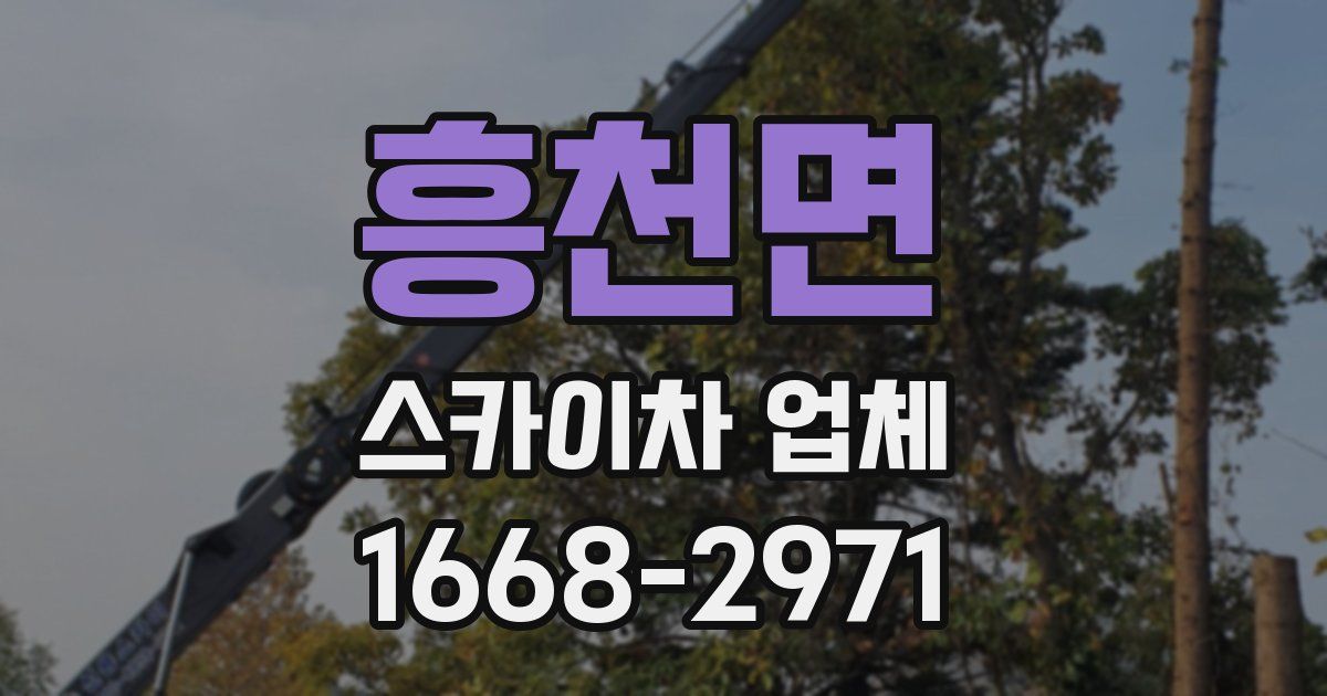 흥천면 스카이차 업체