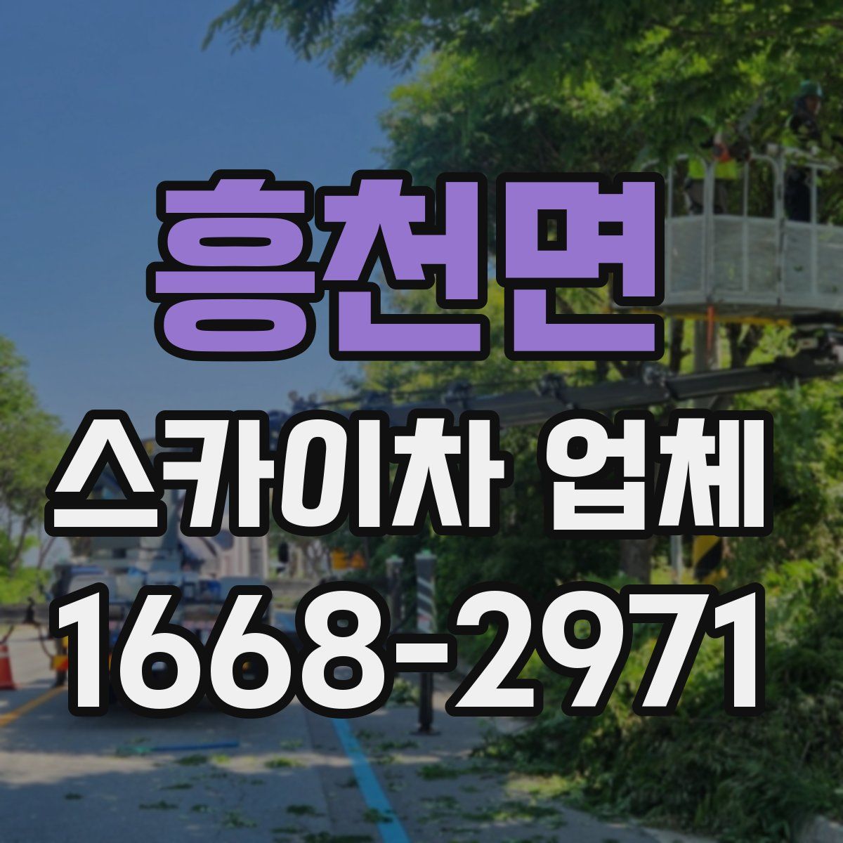 흥천면 스카이차 업체