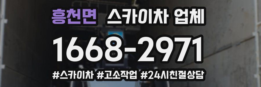 흥천면 스카이차 업체