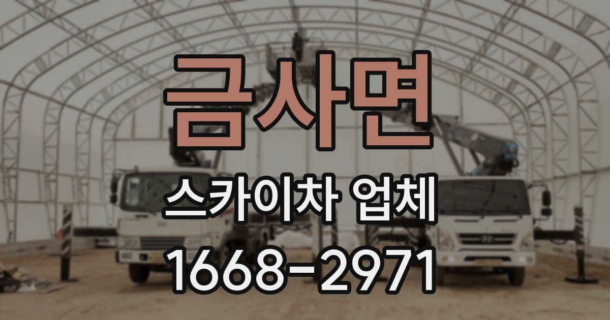 금사면 스카이차 업체