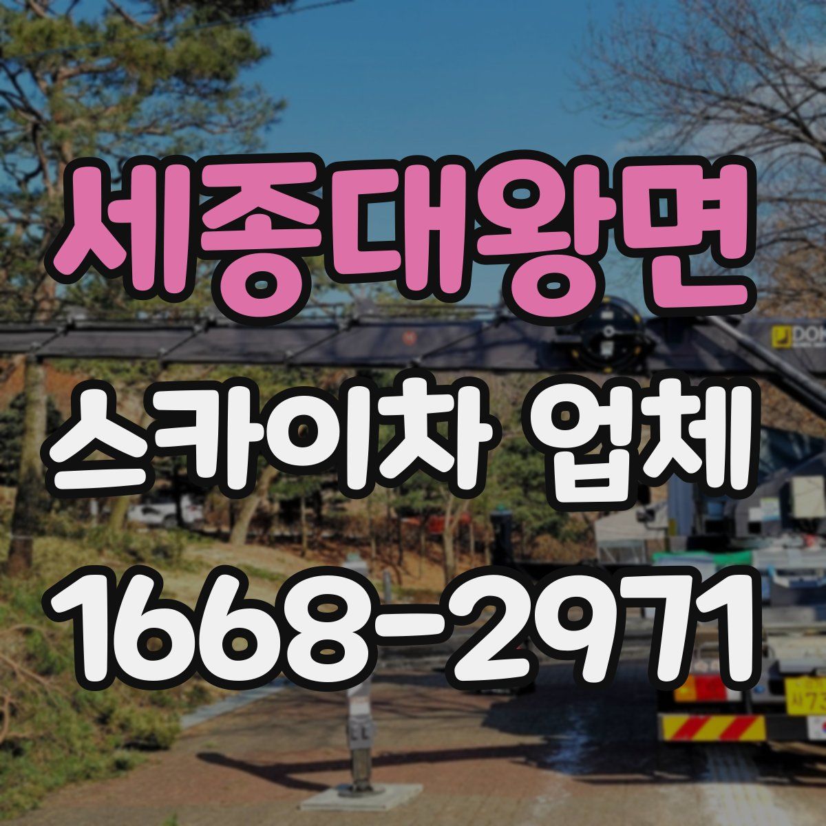 세종대왕면 스카이차 업체