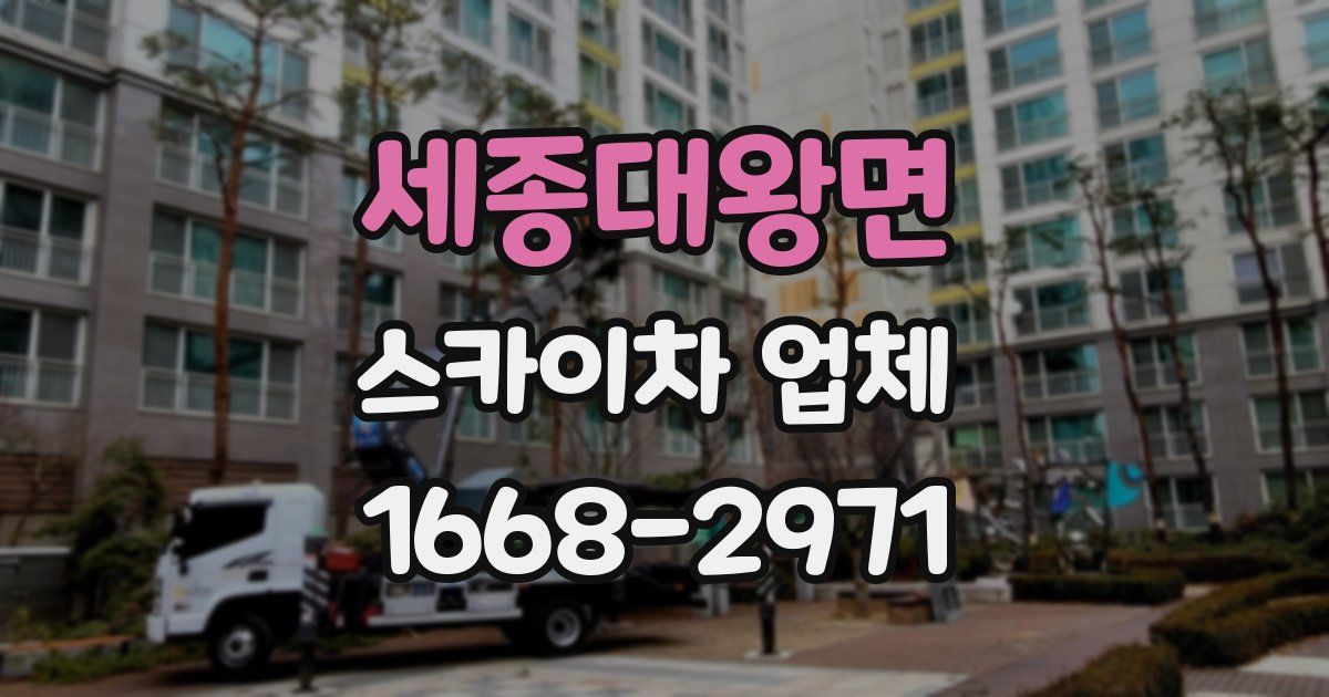 세종대왕면 스카이차 업체