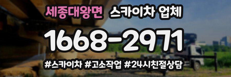 세종대왕면 스카이차 업체