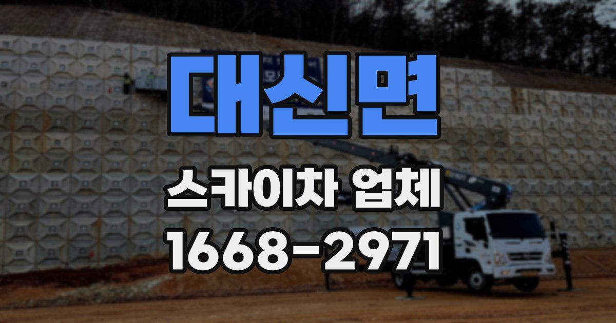 대신면 스카이차 업체