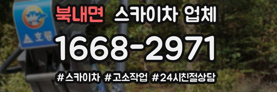 북내면 스카이차 업체