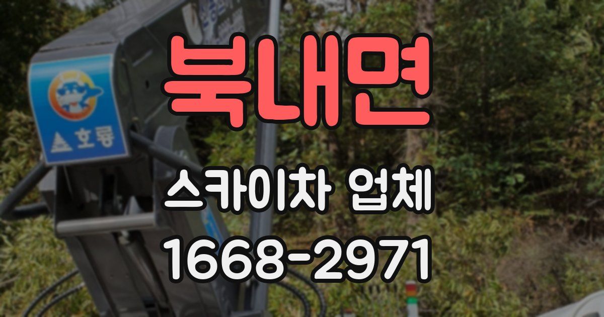 북내면 스카이차 업체