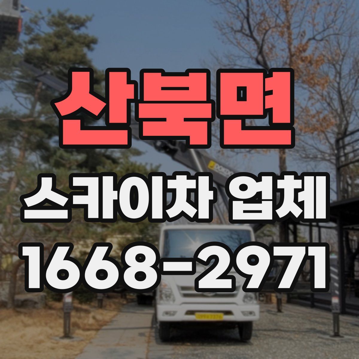 산북면 스카이차 업체